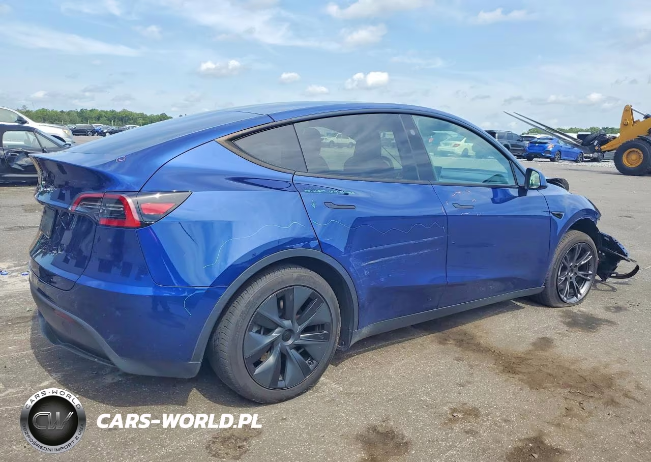 2025 Tesla Model Y VIN:7SAYGDED9SA379196 - 3