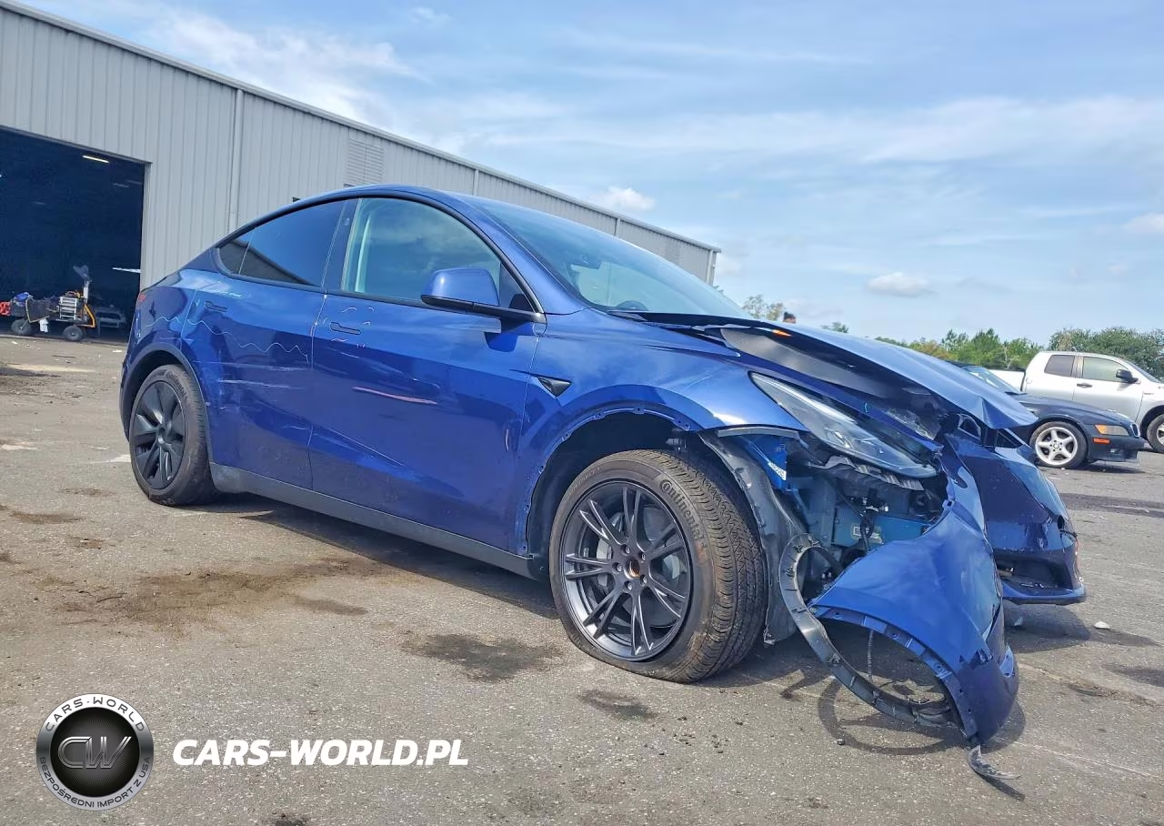 2025 Tesla Model Y VIN:7SAYGDED9SA379196 - 4