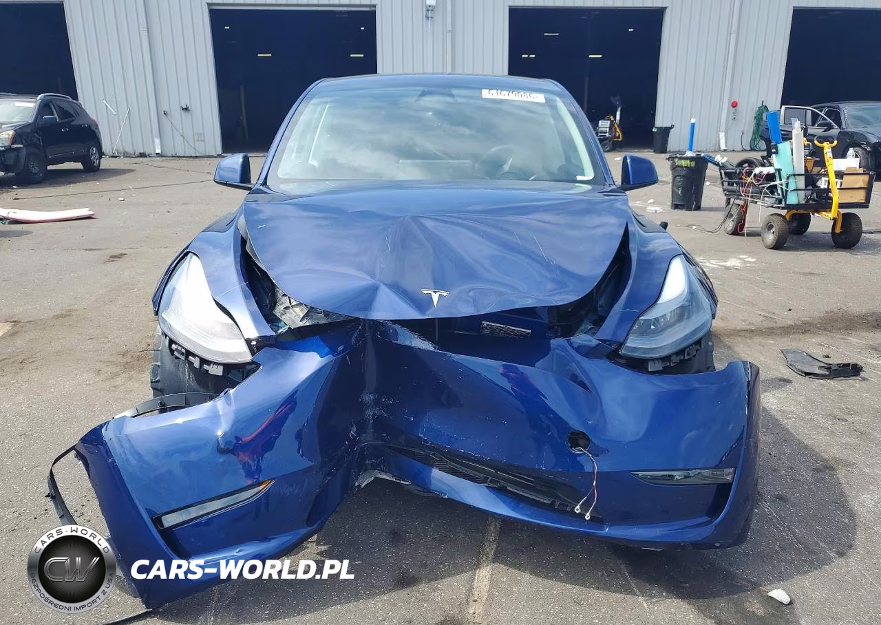 2025 Tesla Model Y VIN:7SAYGDED9SA379196 - 5