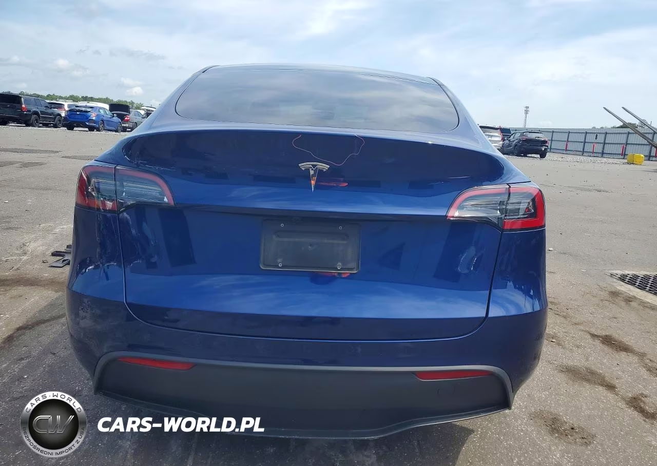2025 Tesla Model Y VIN:7SAYGDED9SA379196 - 6