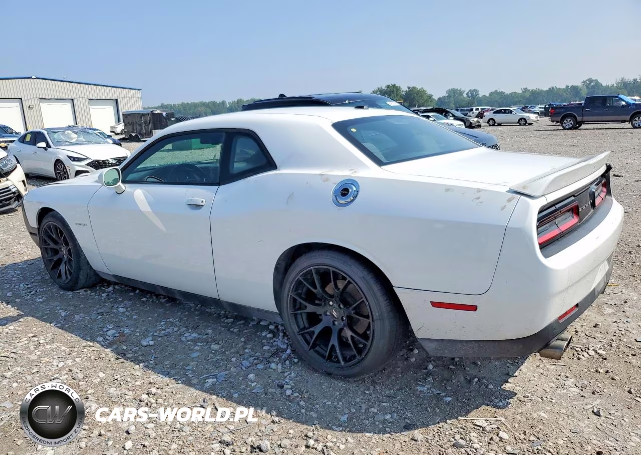2020 Dodge Challenger R-T VIN:2C3CDZBT0LH125176 - 2