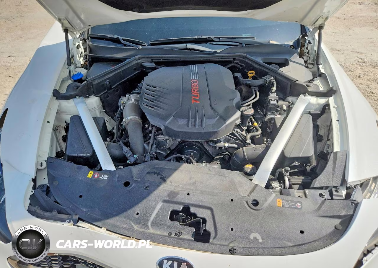 2020 Kia Stinger Gt VIN:KNAE35LC9L6085435 - 11