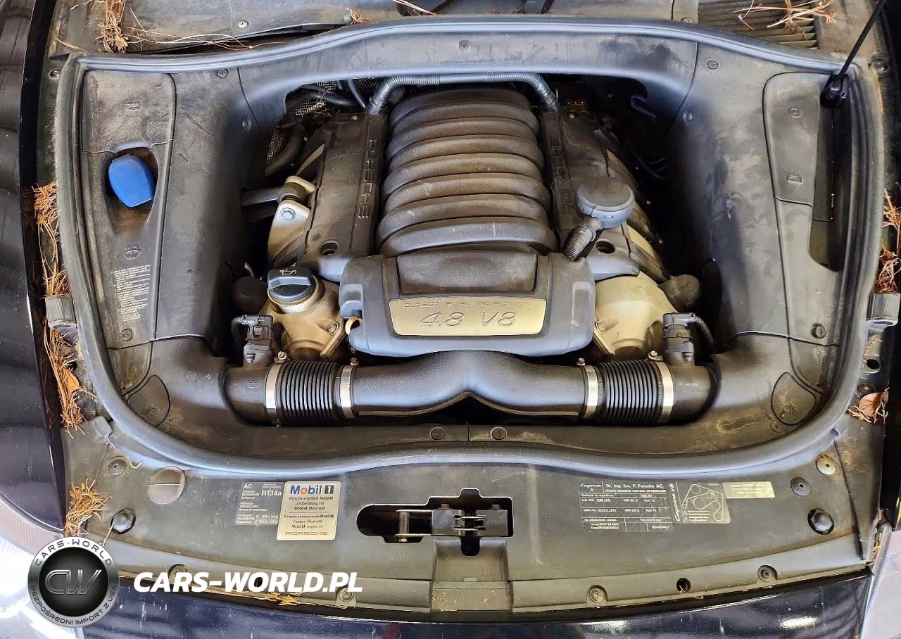 PORSCHE CAYENNE GT VIN:WP1AD29P89LA60123 - 12