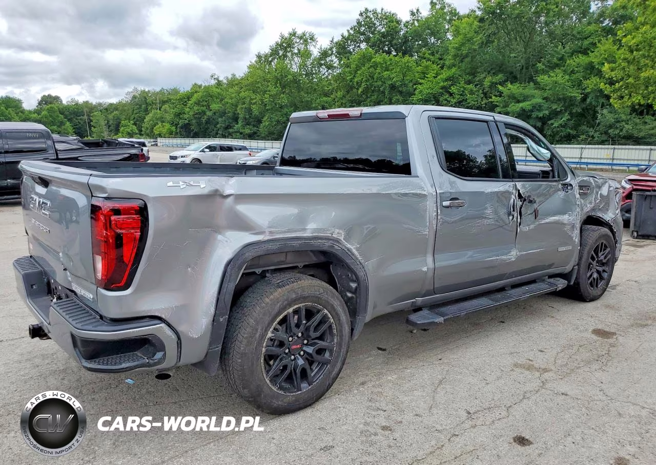 2025 GMC Sierra K1500 Elevation VIN:3GTUUCE89SG174637 - 3
