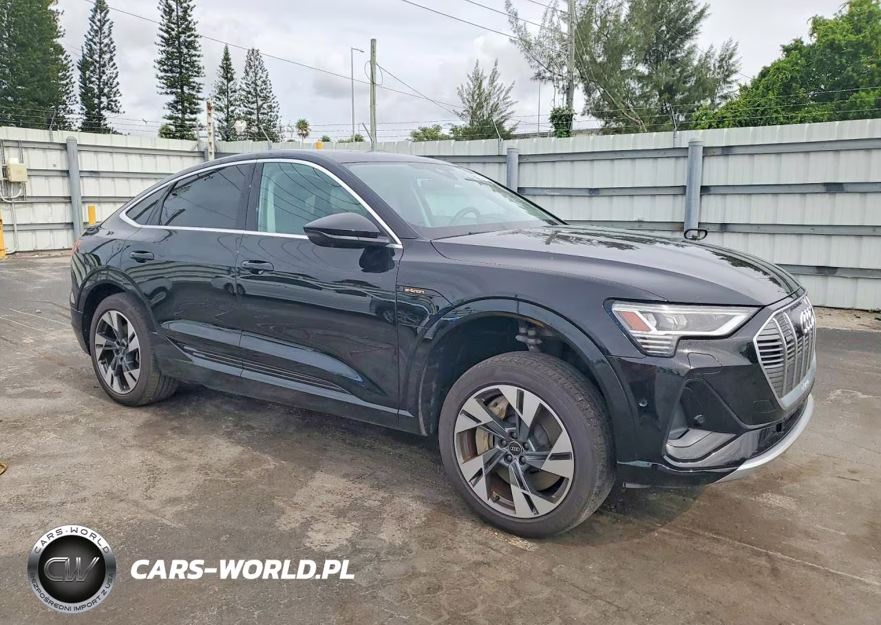 2022 Audi E-Tron Sportback Premium Plus VIN:WA12AAGE7NB032706 - 4