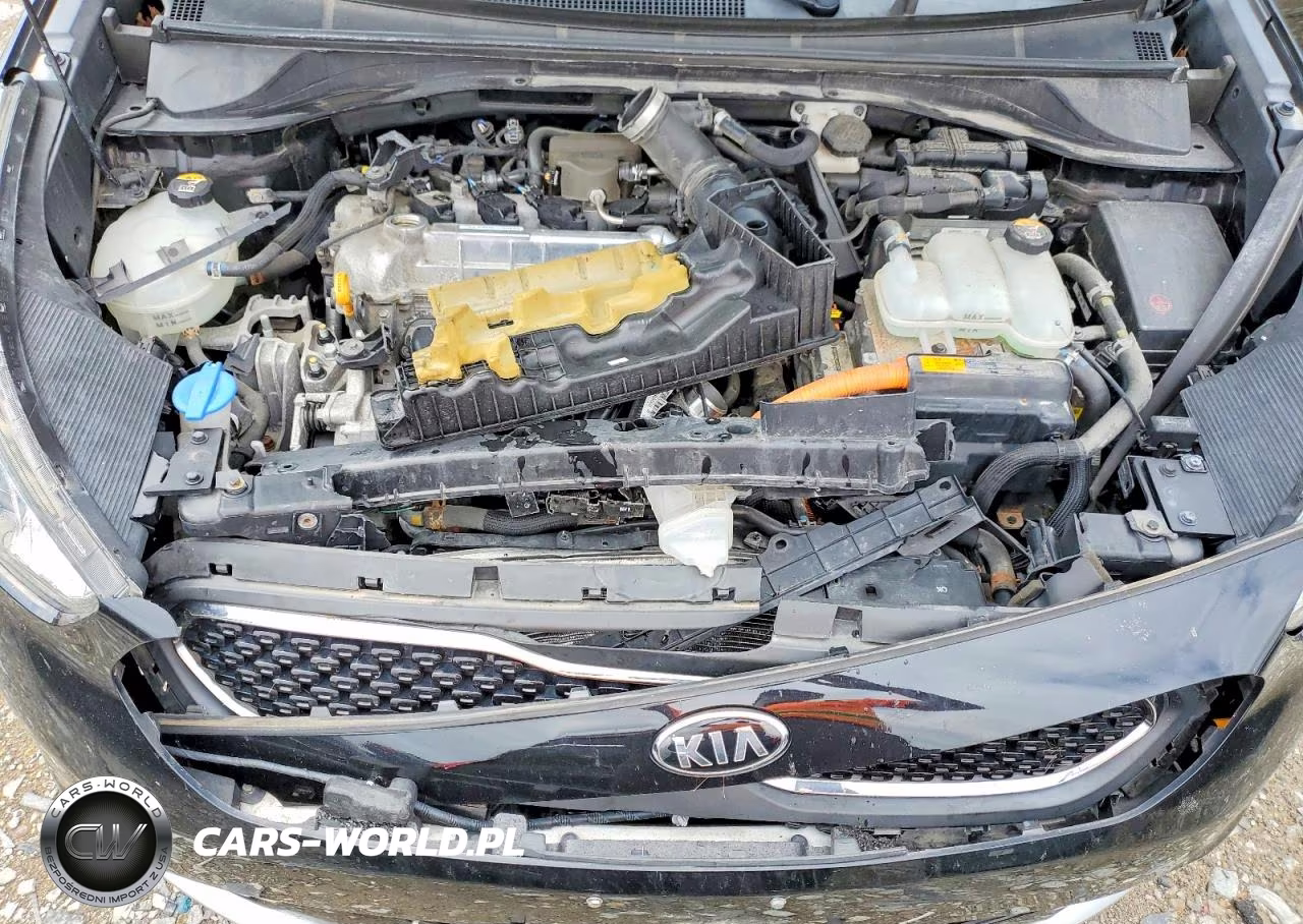 2017 Kia Niro Ex VIN:KNDCC3LC6H5081855 - 12