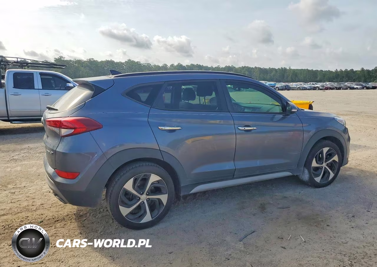 2018 Hyundai Tucson Limited VIN:KM8J33A28JU750328 - 3