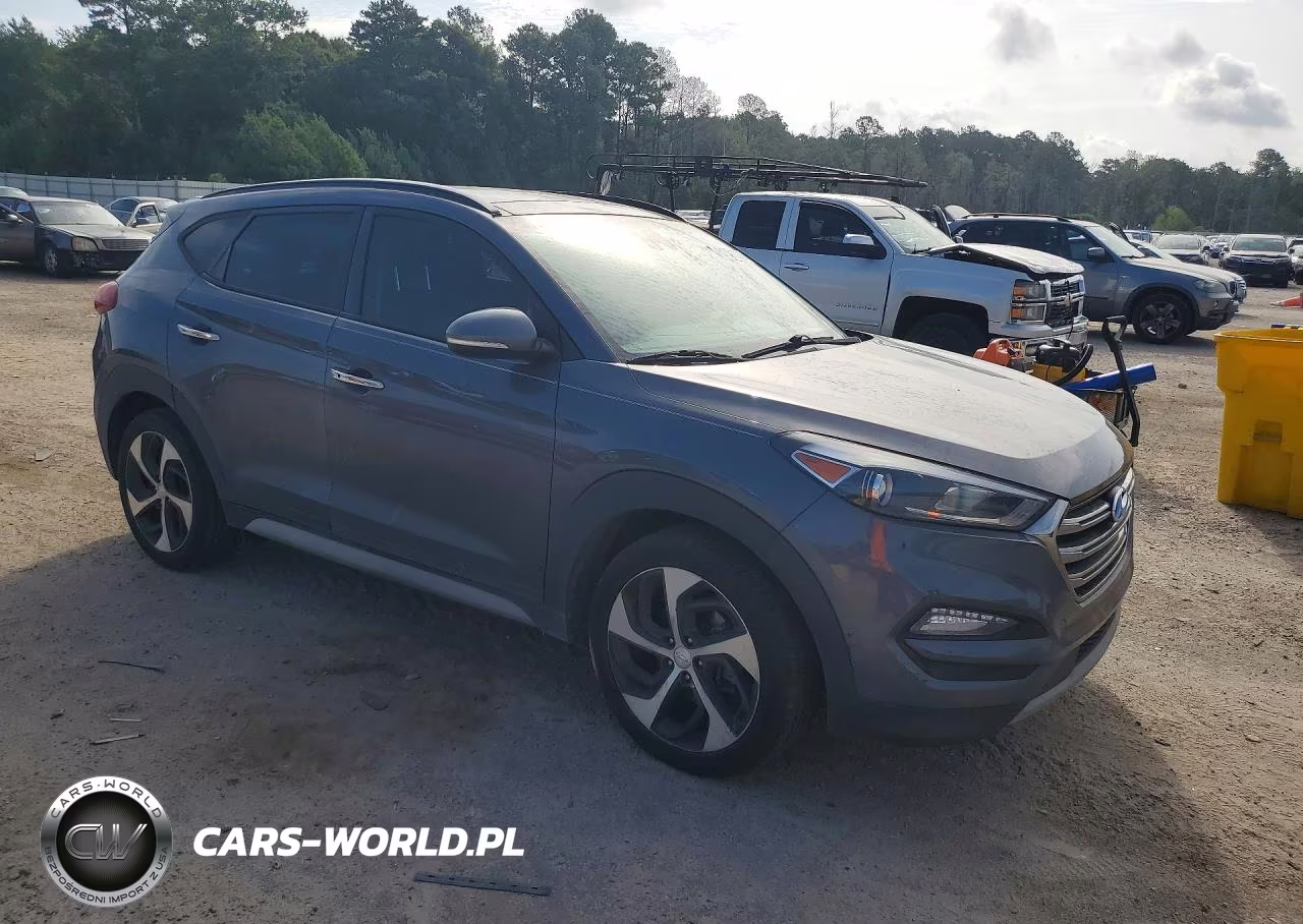 2018 Hyundai Tucson Limited VIN:KM8J33A28JU750328 - 4