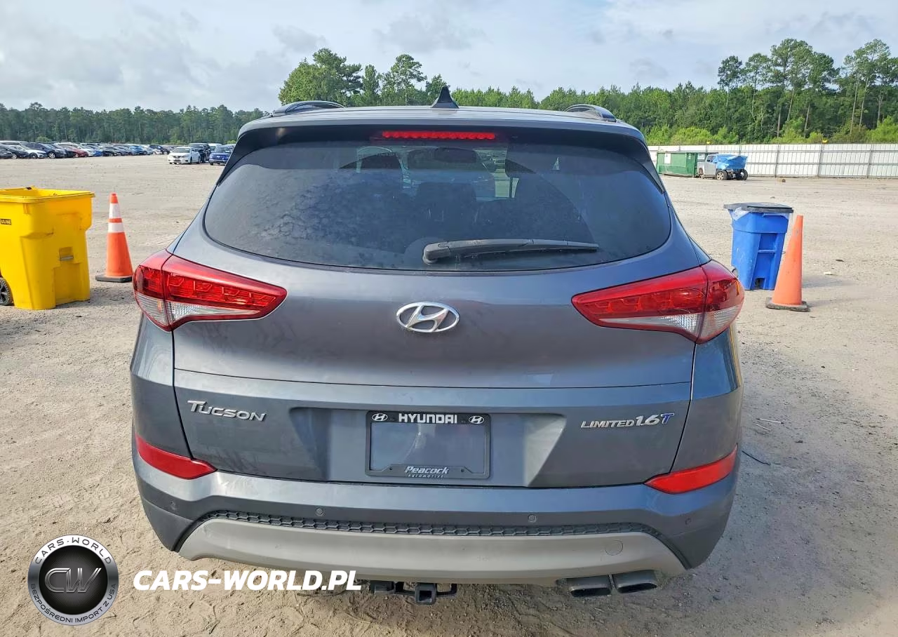 2018 Hyundai Tucson Limited VIN:KM8J33A28JU750328 - 6