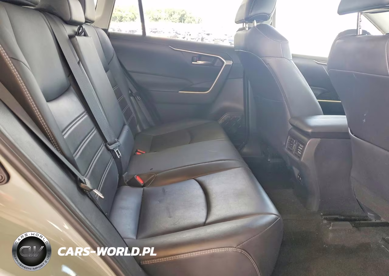 2019 Toyota Rav4 Xle Premium VIN:2T3C1RFV3KW034174 - 10