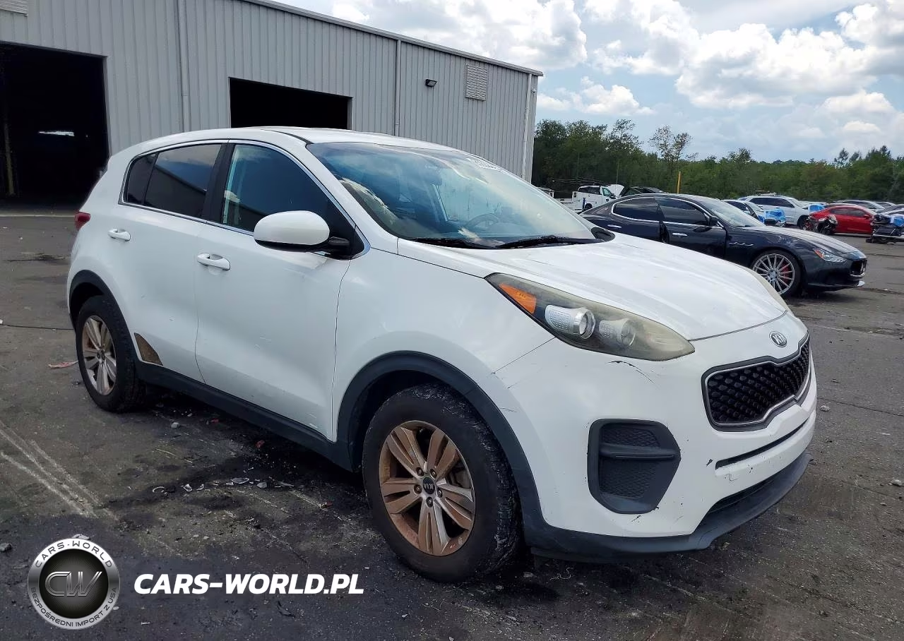 2017 Kia Sportage Lx VIN:KNDPM3AC6H7192220 - 4