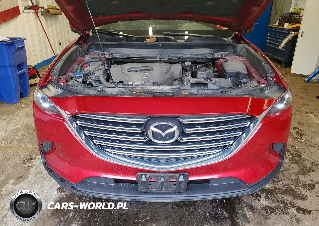 2016 Mazda Cx-9 Touring VIN:JM3TCBCY0G0121095 - 12