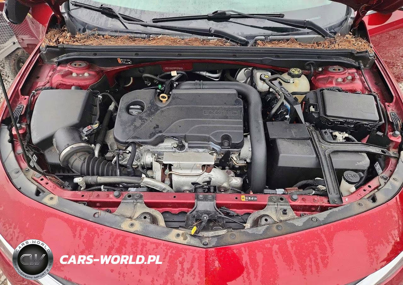2019 Chevrolet Malibu Lt VIN:1G1ZD5ST4KF129853 - 11