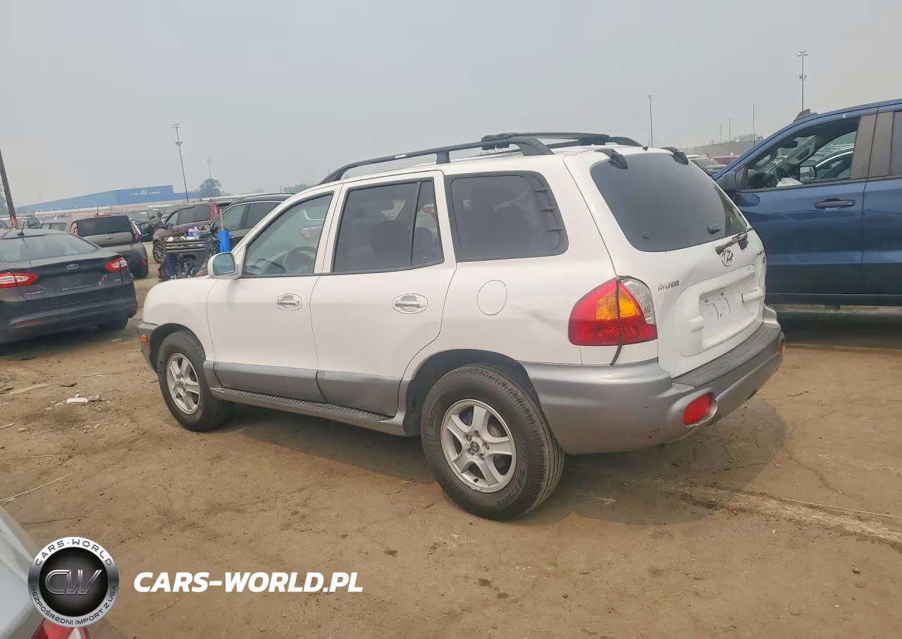 2004 Hyundai Santa Fe Gls VIN:KM8SC13EX4U705363 - 2