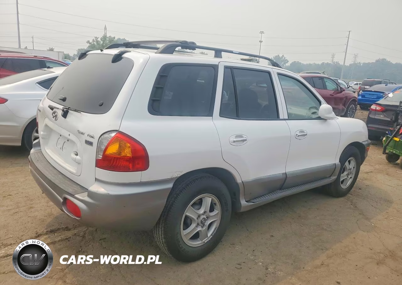 2004 Hyundai Santa Fe Gls VIN:KM8SC13EX4U705363 - 3