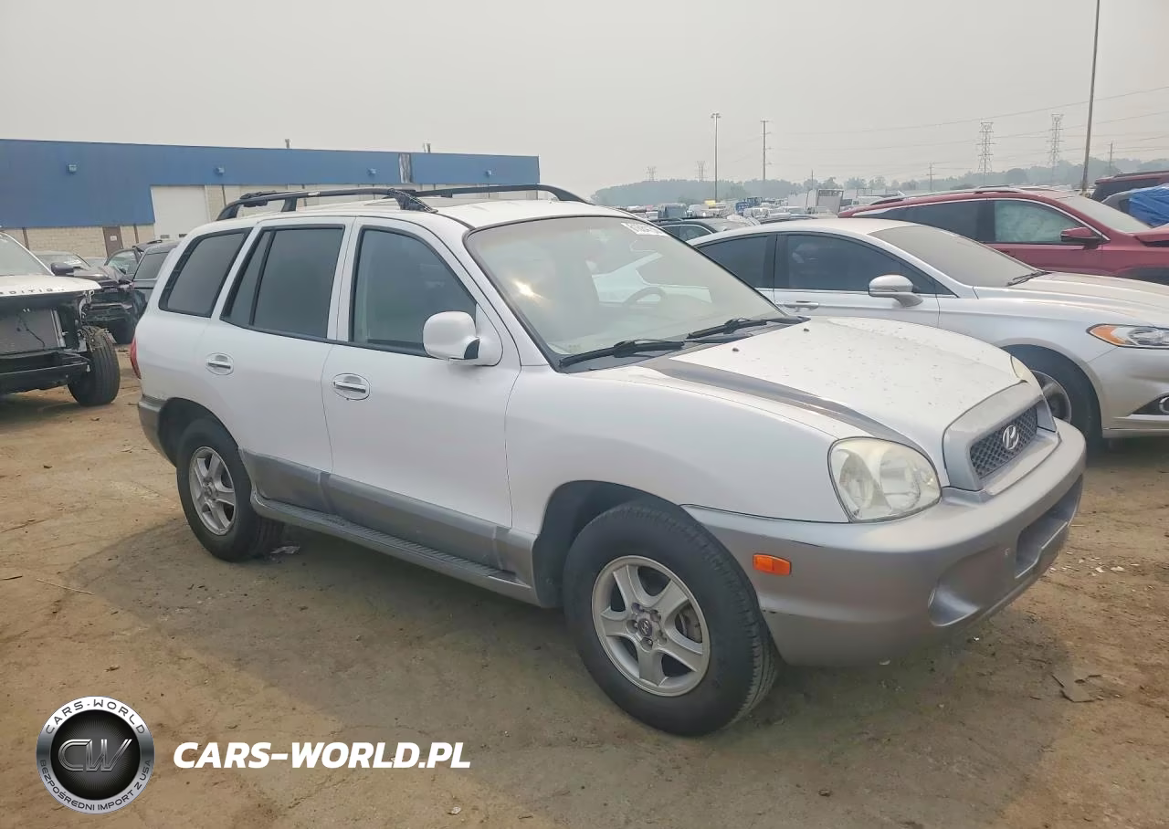 2004 Hyundai Santa Fe Gls VIN:KM8SC13EX4U705363 - 4