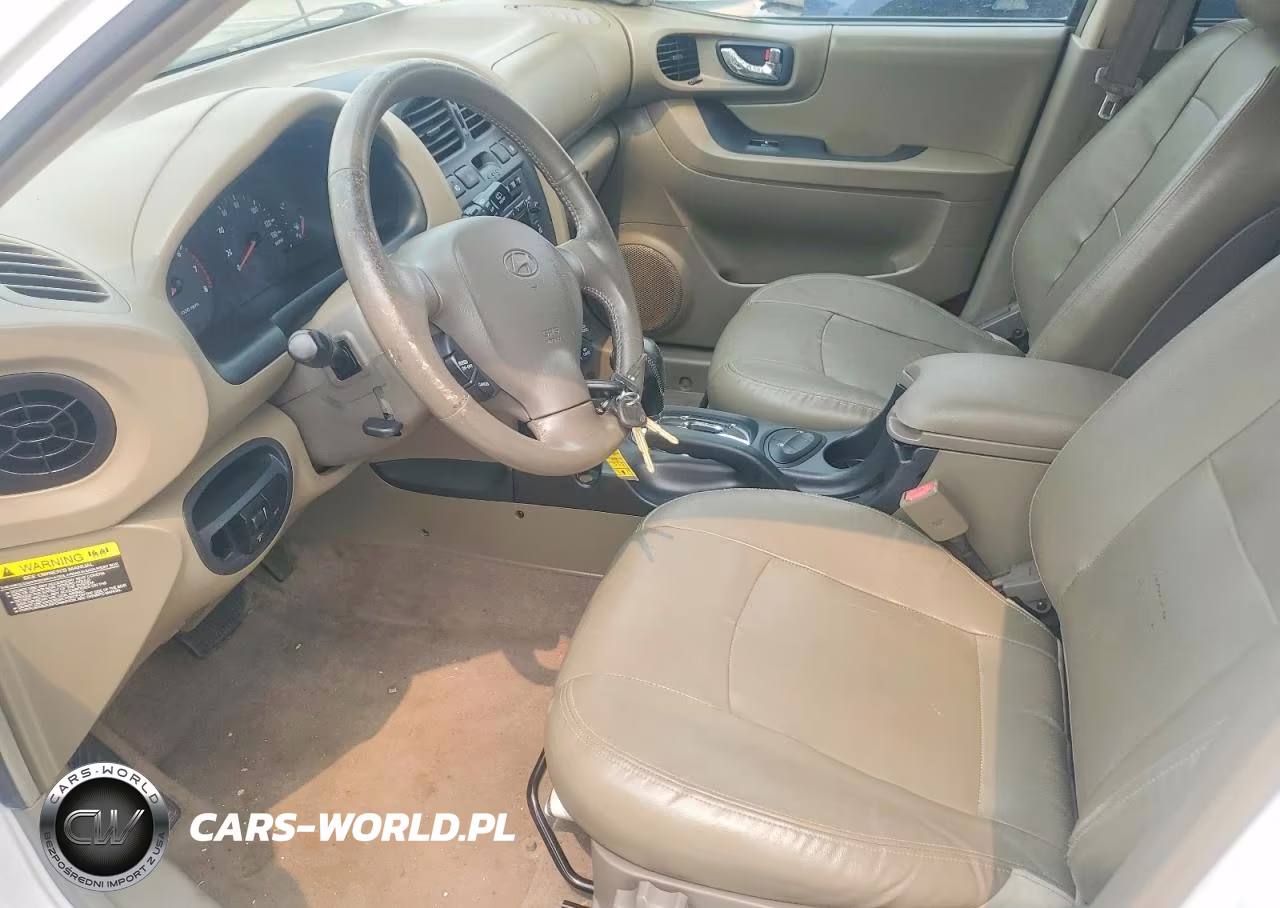 2004 Hyundai Santa Fe Gls VIN:KM8SC13EX4U705363 - 7