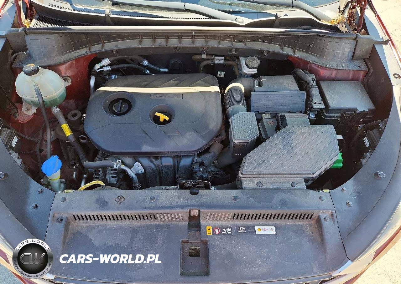 2019 Hyundai Tucson Se VIN:KM8J2CA45KU873719 - 12