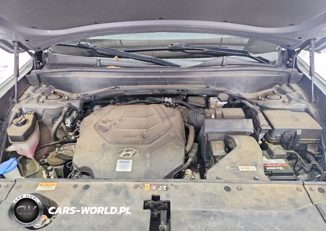 2022 Hyundai Palisade Calligraphy VIN:KM8R7DHE5NU339391 - 12