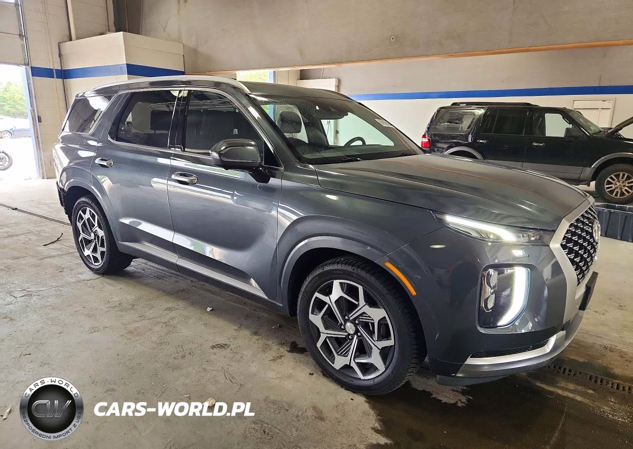 2022 Hyundai Palisade Calligraphy VIN:KM8R7DHE5NU339391 - 4