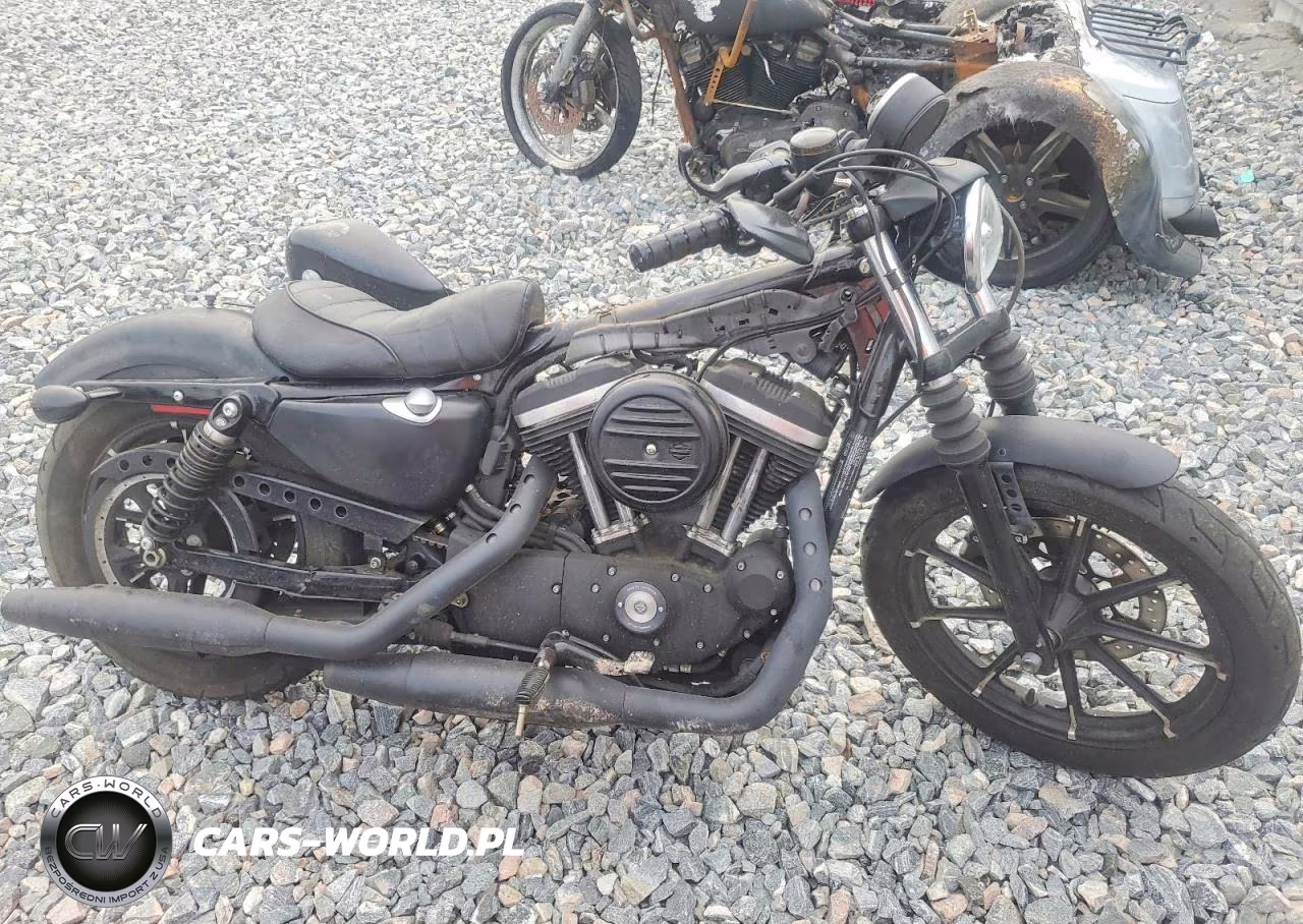 2019 Harley-Davidson Xl883 N