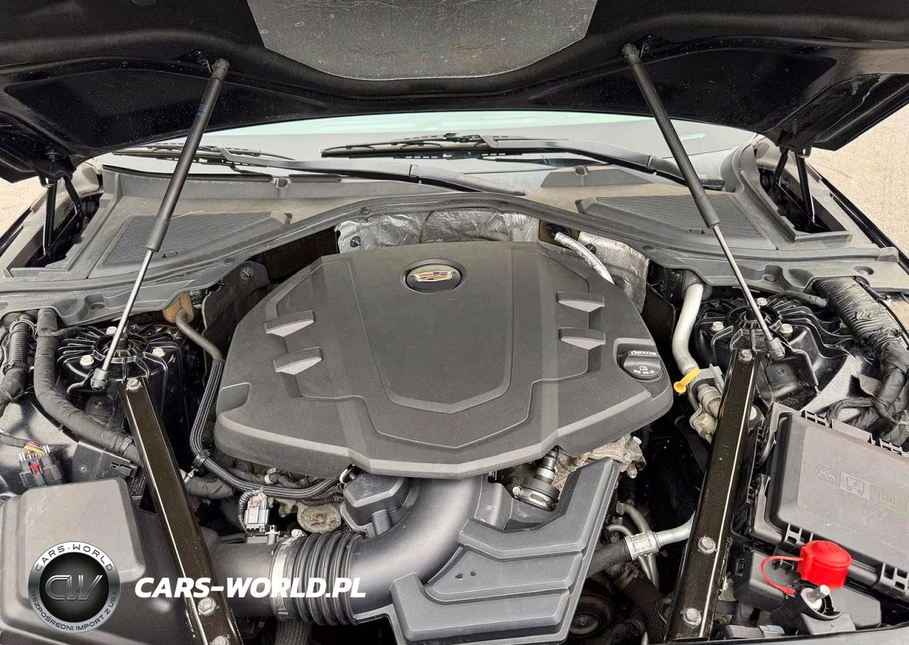 2019 Cadillac Ct6 Premium Luxury VIN:1G6KD5RS5KU120633 - 10