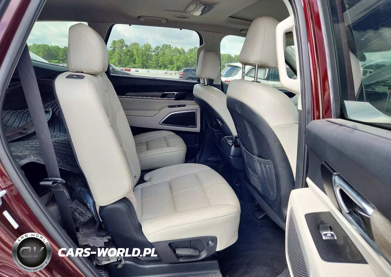 2020 Kia Telluride Ex VIN:5XYP34HC5LG087517 - 11