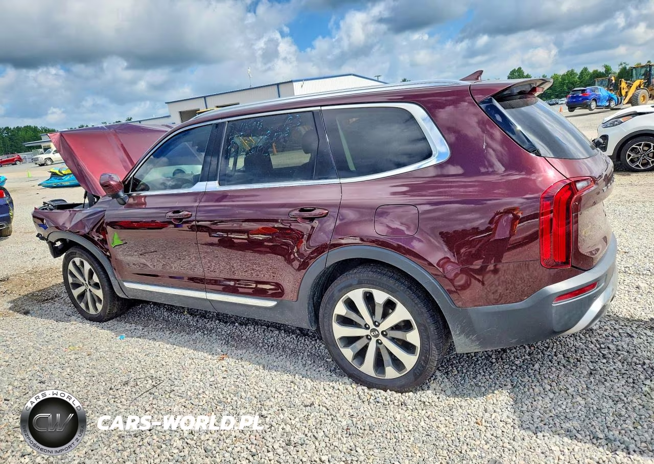 2020 Kia Telluride Ex VIN:5XYP34HC5LG087517 - 2