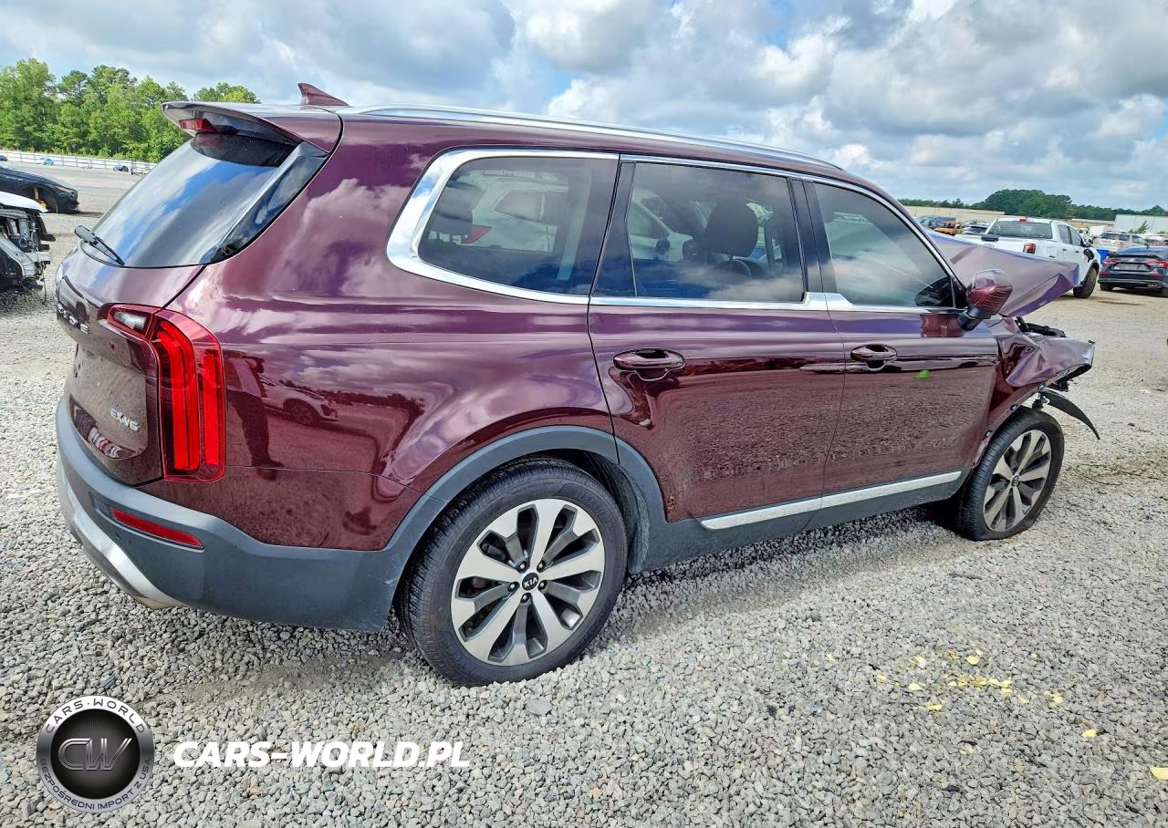 2020 Kia Telluride Ex VIN:5XYP34HC5LG087517 - 3