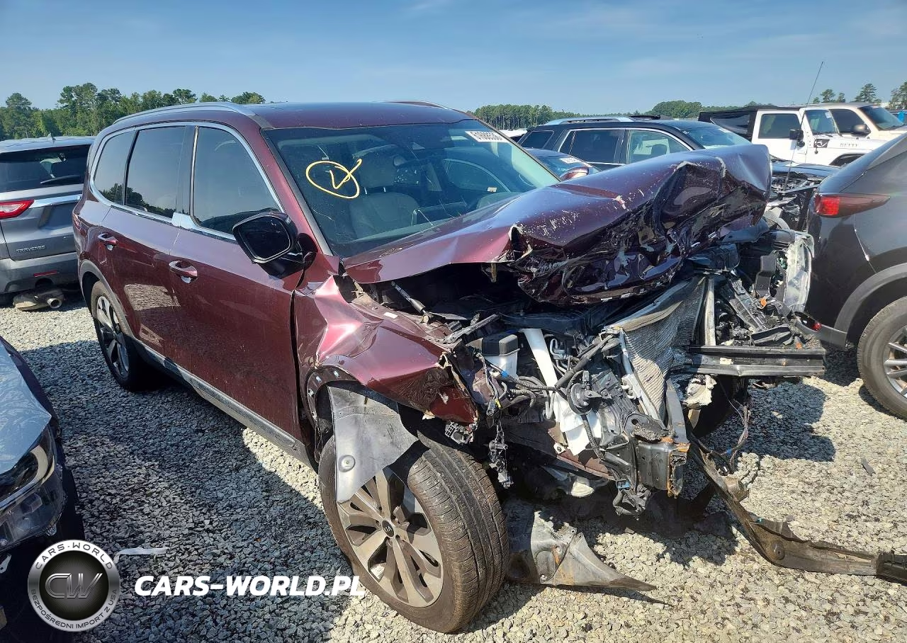 2020 Kia Telluride Ex VIN:5XYP34HC5LG087517 - 4