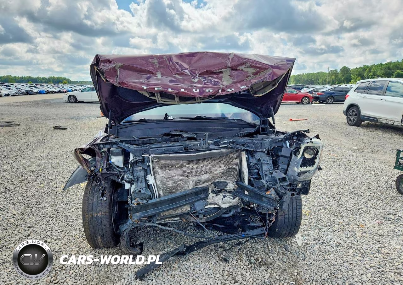 2020 Kia Telluride Ex VIN:5XYP34HC5LG087517 - 5