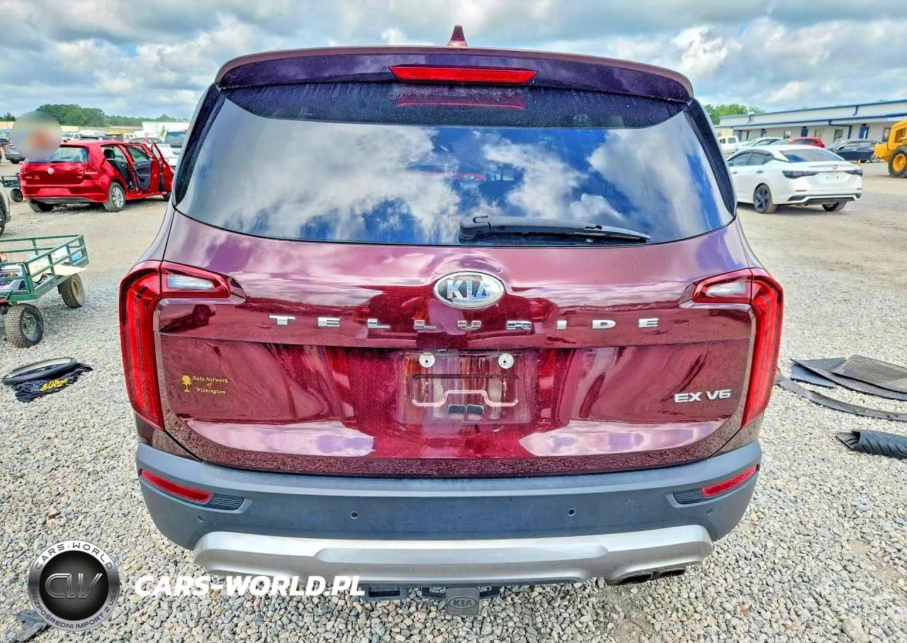2020 Kia Telluride Ex VIN:5XYP34HC5LG087517 - 6