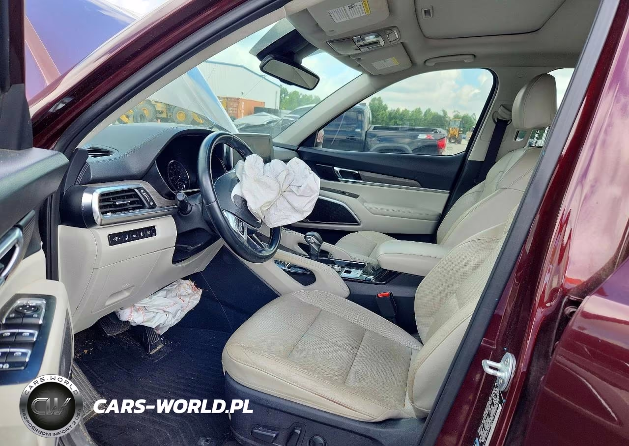 2020 Kia Telluride Ex VIN:5XYP34HC5LG087517 - 7