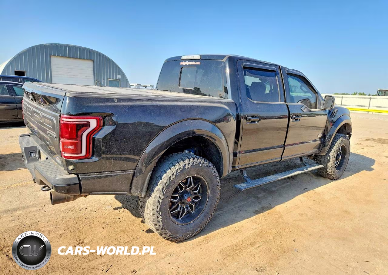 2018 Ford F150 Raptor VIN:1FTFW1RG3JFD74308 - 3