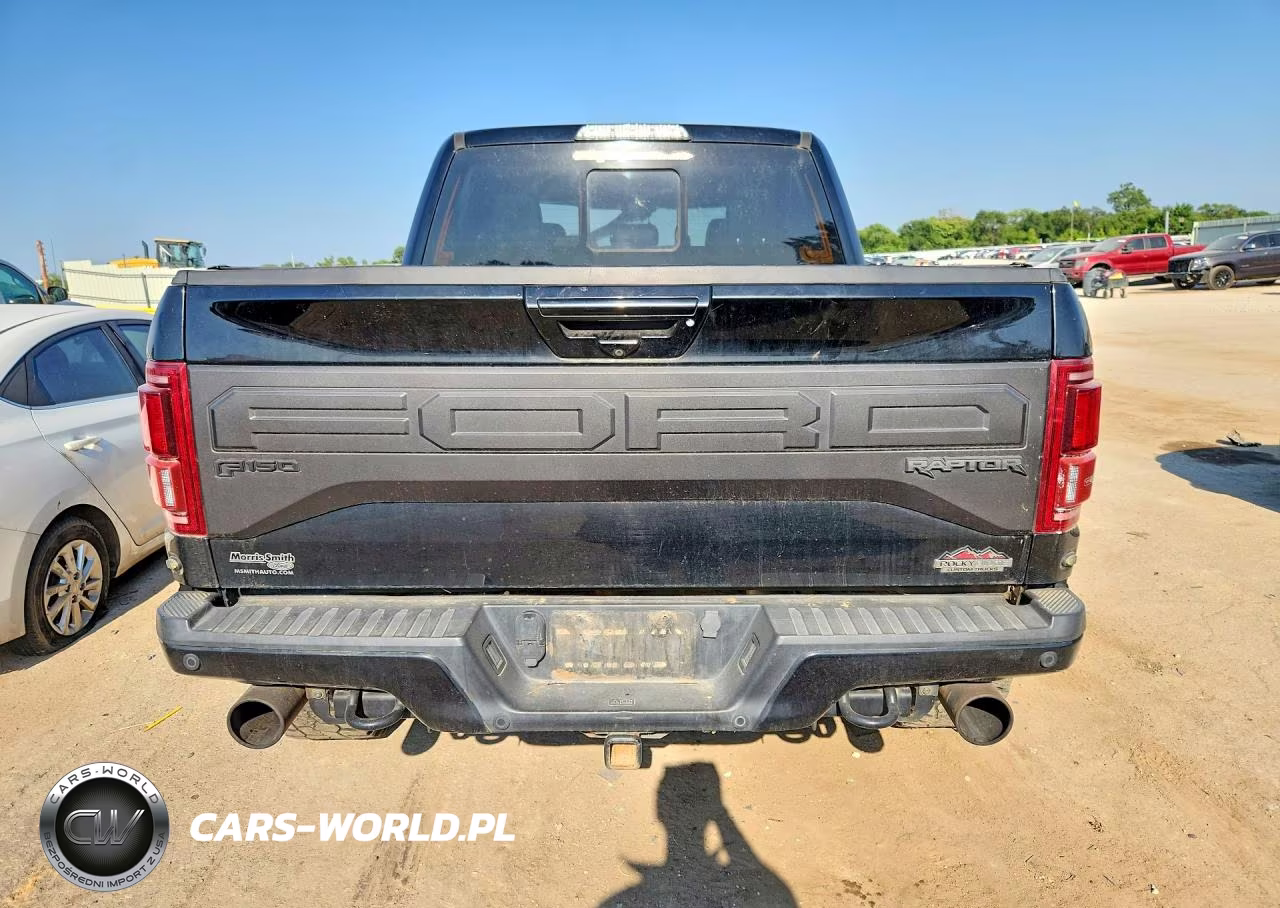 2018 Ford F150 Raptor VIN:1FTFW1RG3JFD74308 - 6