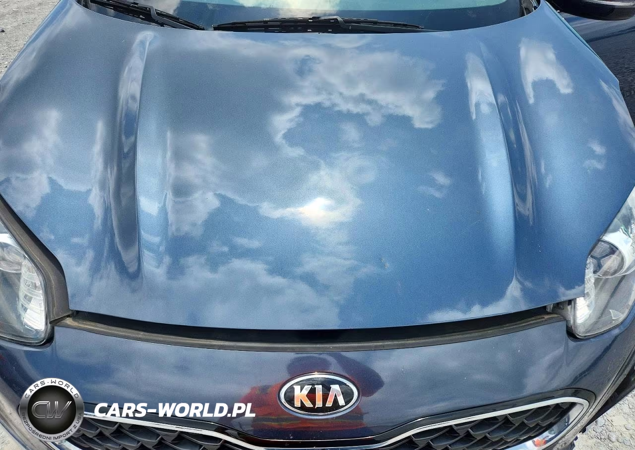 2021 Kia Sportage Ex VIN:KNDPNCAC5M7868809 - 12