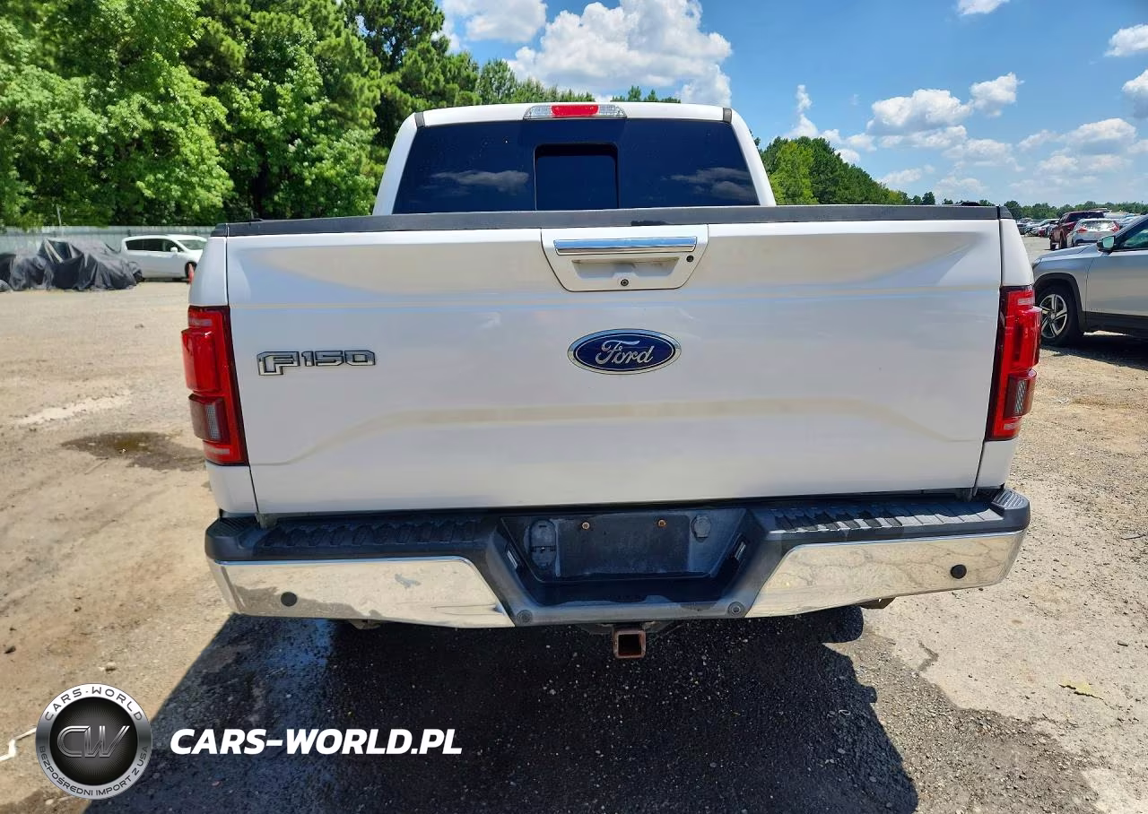 2017 Ford F150 Supercrew VIN:1FTEW1EGXHFA53569 - 6