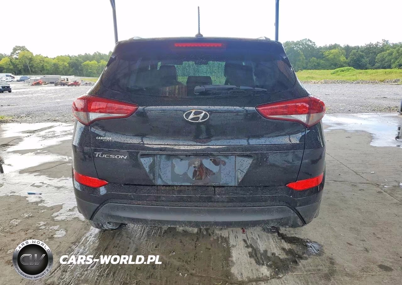 2016 Hyundai Tucson Se VIN:KM8J33A46GU076724 - 6