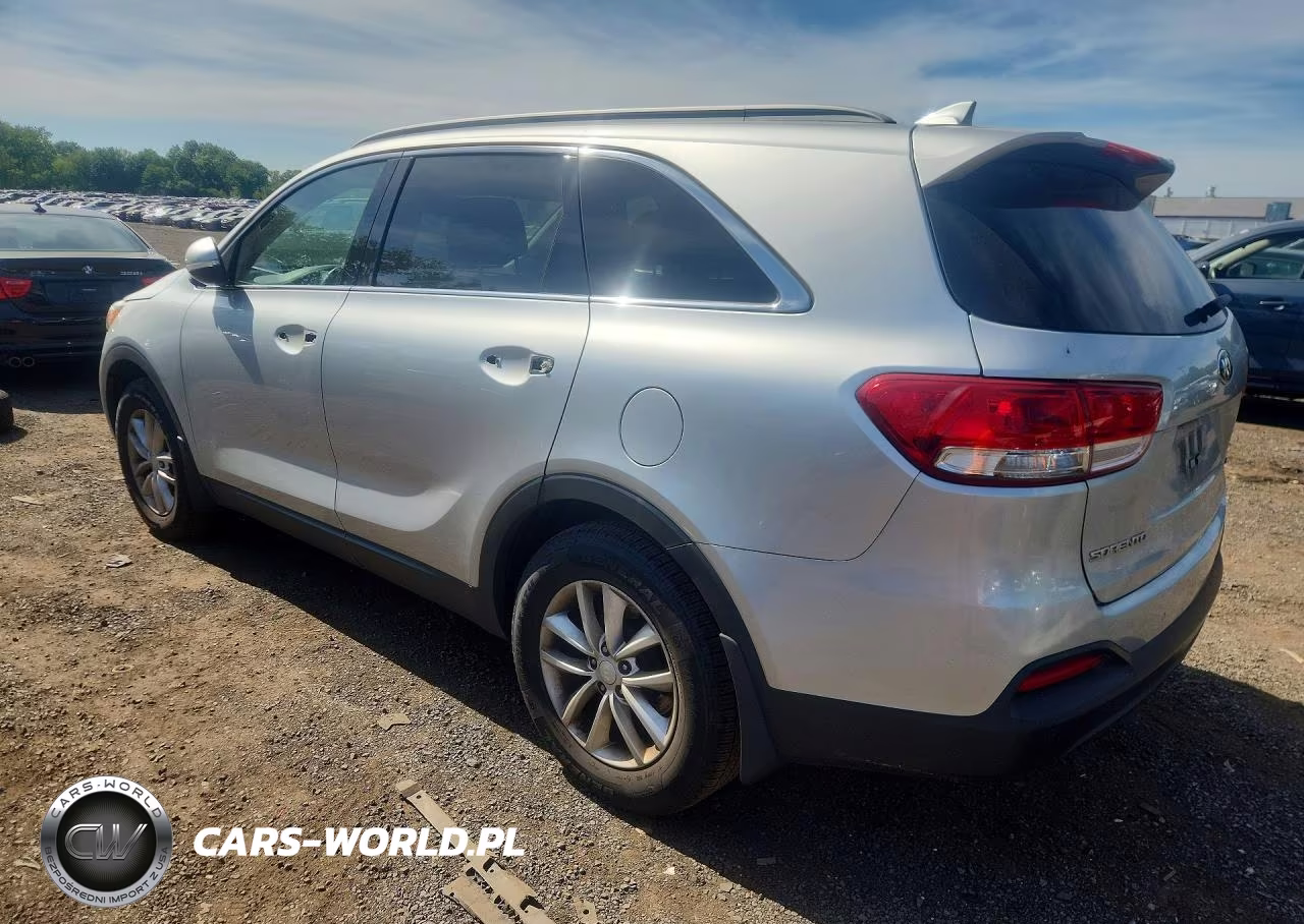 2017 Kia Sorento Lx VIN:5XYPG4A30HG254954 - 2