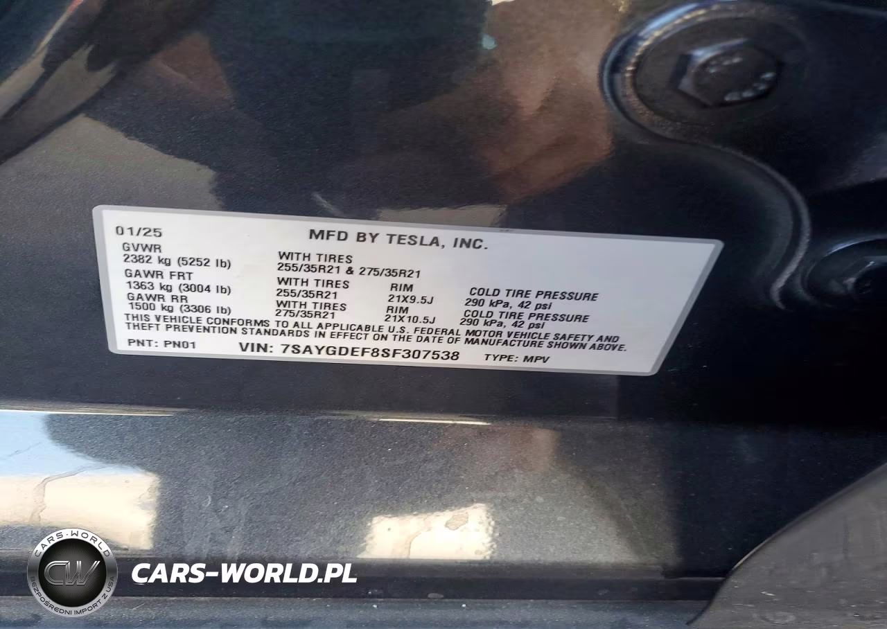 2025 Tesla Model Y VIN:7SAYGDEF8SF307538 - 12