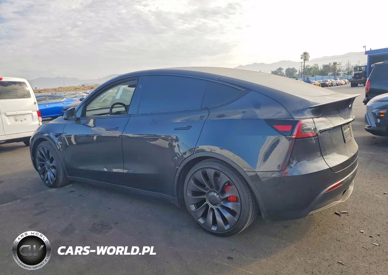 2025 Tesla Model Y VIN:7SAYGDEF8SF307538 - 2
