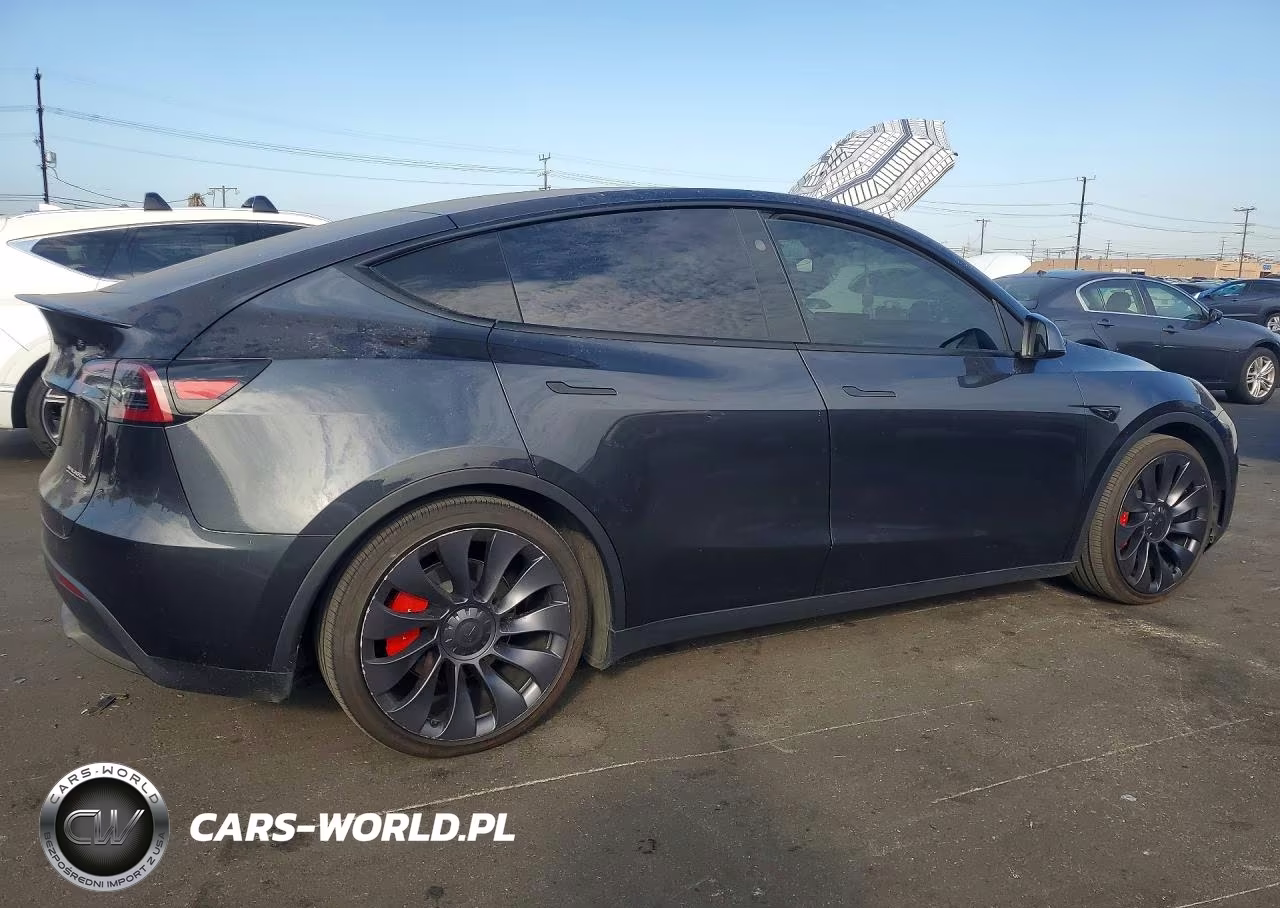 2025 Tesla Model Y VIN:7SAYGDEF8SF307538 - 3
