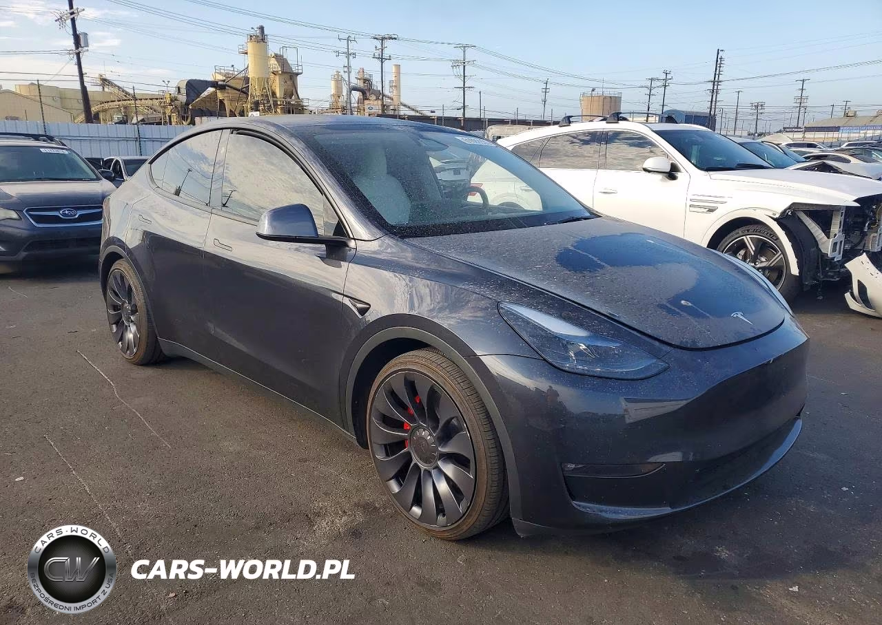 2025 Tesla Model Y VIN:7SAYGDEF8SF307538 - 4