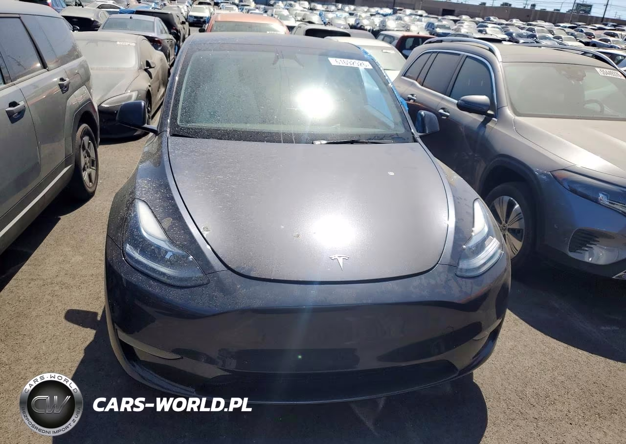 2025 Tesla Model Y VIN:7SAYGDEF8SF307538 - 5