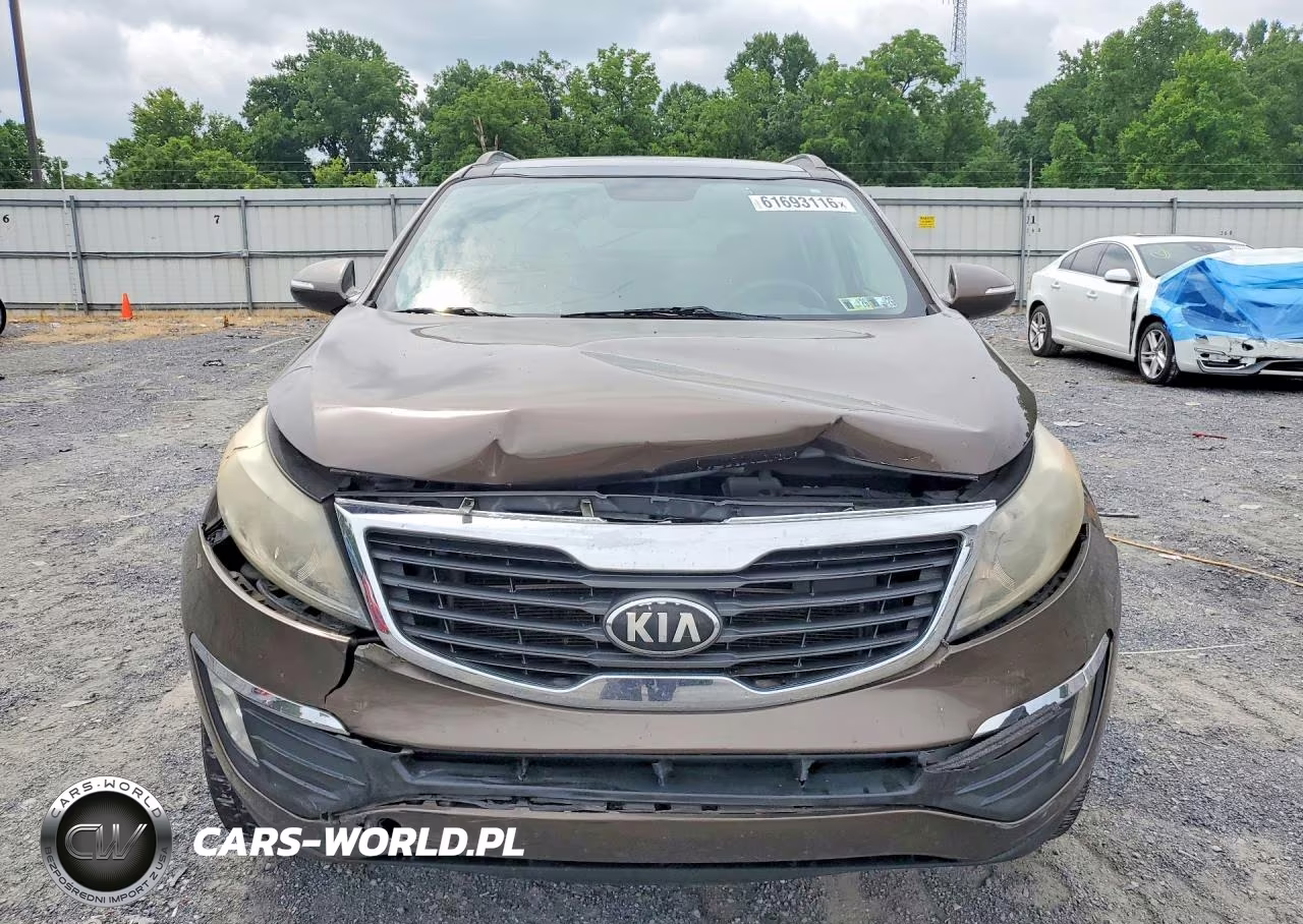 2013 Kia Sportage Ex VIN:KNDPC3A28D7523724 - 5