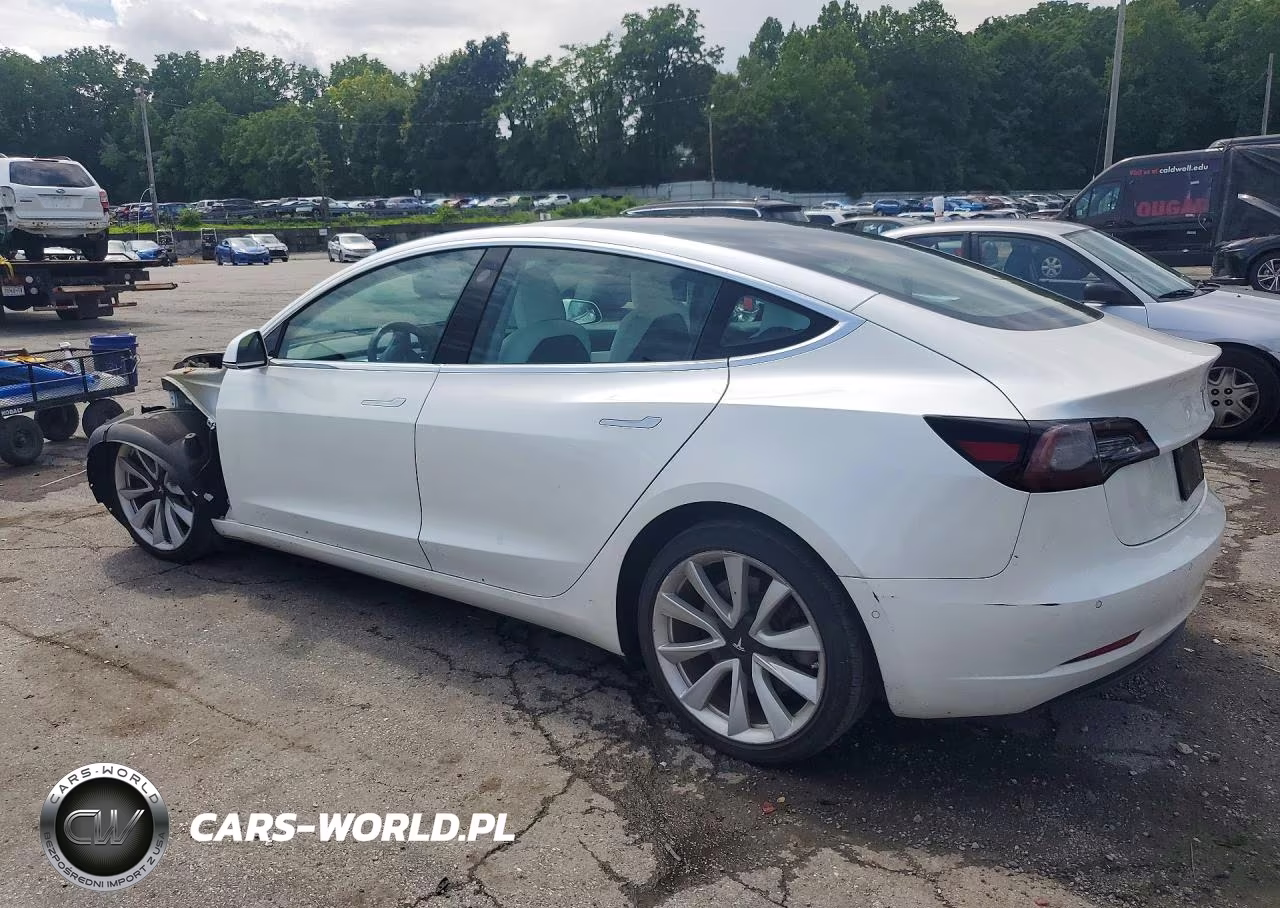2020 Tesla Model 3 VIN:5YJ3E1EB2LF712952 - 2