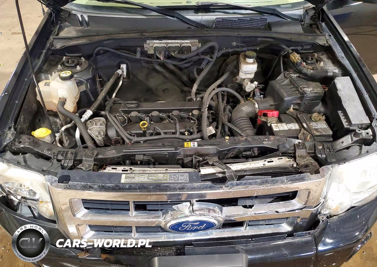 2012 Ford Escape Xlt VIN:1FMCU9D74CKB77555 - 12