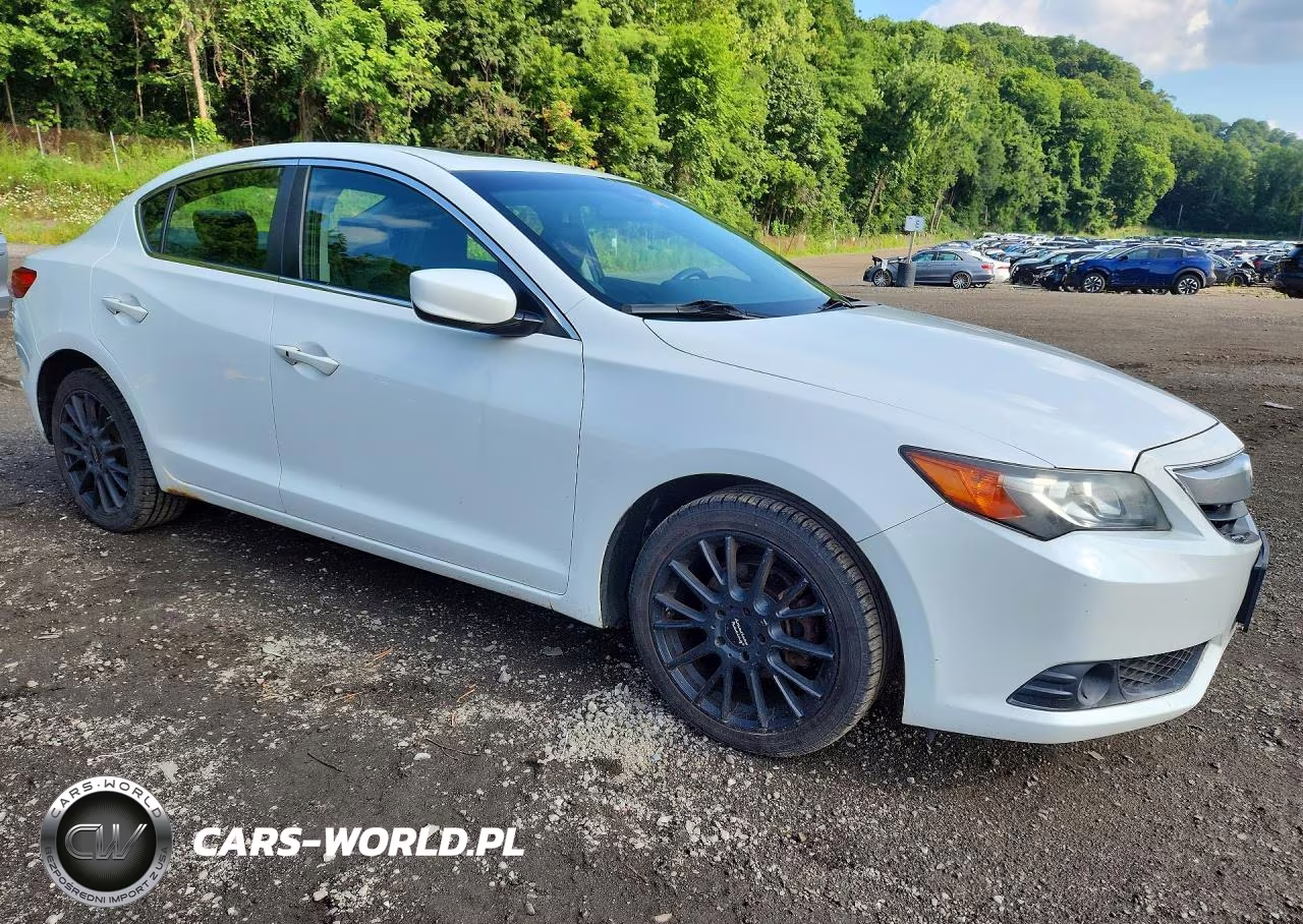 2014 Acura Ilx 20 VIN:19VDE1F31EE004768 - 4