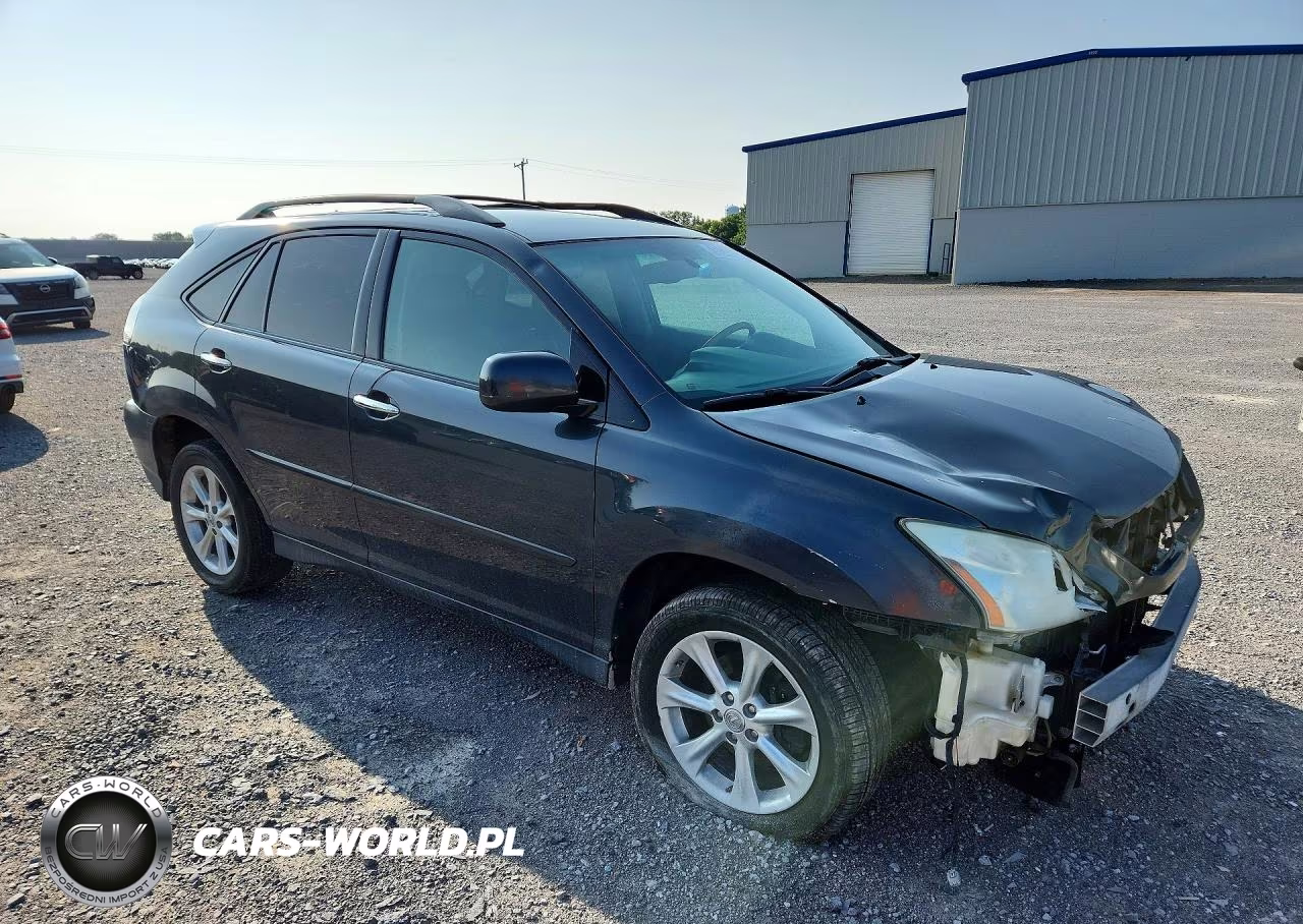 2009 Lexus Rx 350 VIN:2T2HK31U09C134196 - 4