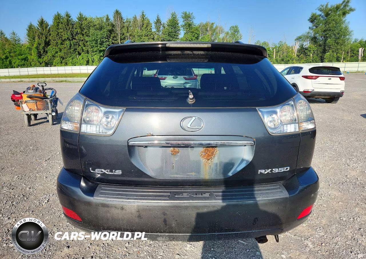 2009 Lexus Rx 350 VIN:2T2HK31U09C134196 - 6